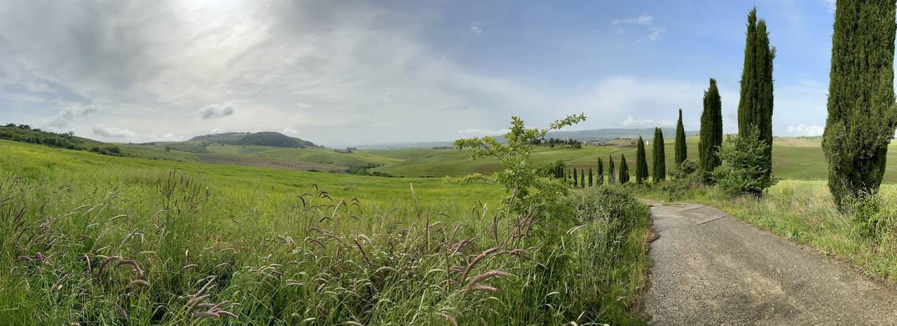 Azienda Le Vigne I Campi